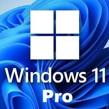 Windows 11 Professional